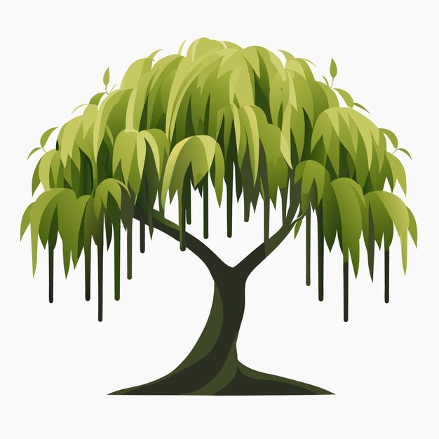 Vector digital artwork highquality vector of a detailed isolated willow tree