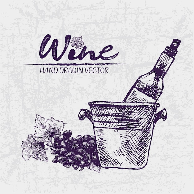 Digital color vector detailed line art wine