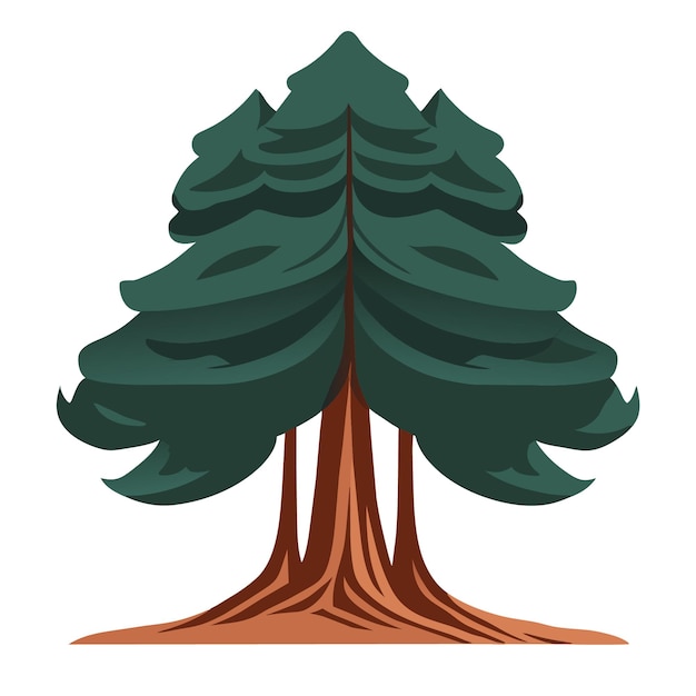 Digital Flat Art Isolated Redwood Tree Vector Graphic in Detail