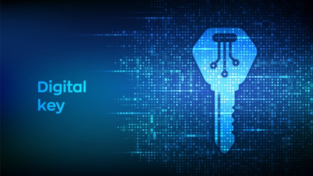 Vector digital key. electronic key icon made with binary code.