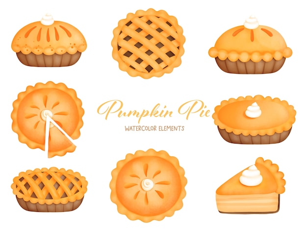 Digital painting pumpkin pie watercolor element. Vector illustration