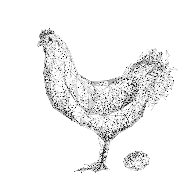 Illustrazione vettoriale del pollo poligonale digitale concetto di tecnologia animale o alimentare a basso poli