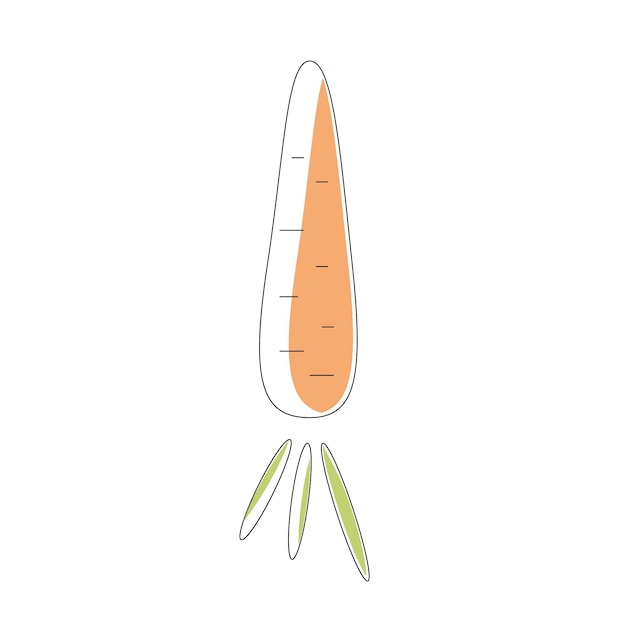 Vector digital vector illustration carrot isolated on a white backgroundhealthy food