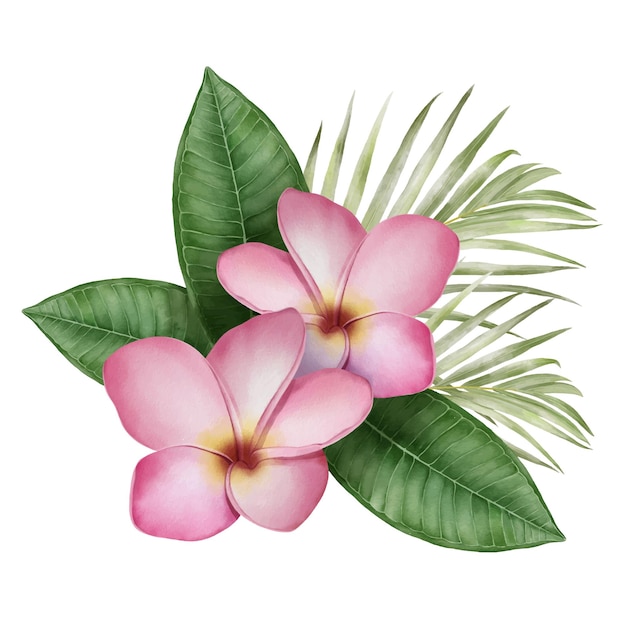 Digital watercolor painting with tropical pink frangipani flowers and palm leaves