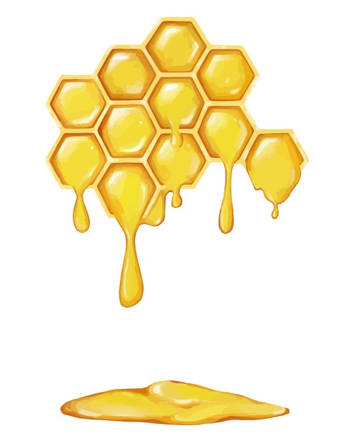 Digitally drawn honeycomb and honey Natural organic product healthy and proper nutrition