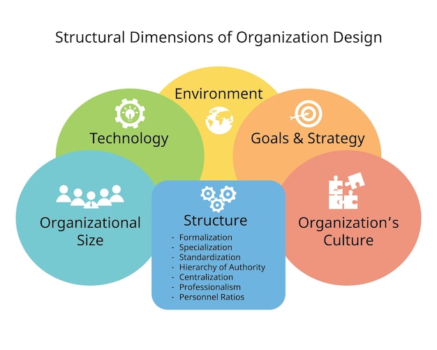 Vector dimensie van de organisatie voor contextuele en structurele dimensies