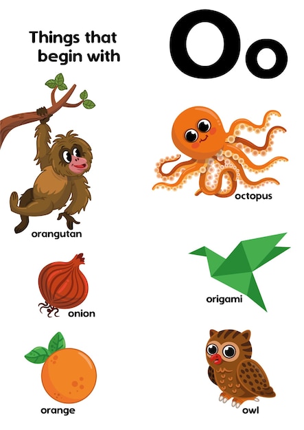 Dingen die beginnen met de letter o educatieve vectorillustratie voor kinderen