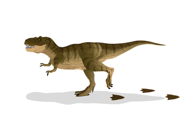 Vector dinosaur cartoon tyrannosaurus t-rex walked with footprints.