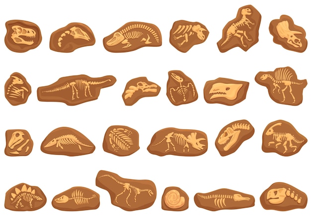 Dinosaur fossil icons set cartoon vector Nature education