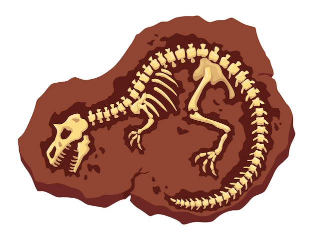 Vettore ossa di scheletri fossili di dinosauri scavi archeologici hanno isolato scheletri di rettili preistorici che giacciono sottoterra artefatto paleontologico di cartoni animati.