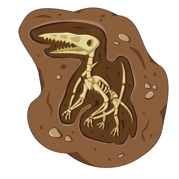 Вектор Скелет окаменелости динозавра в почве археологических раскопок в стиле мультфильма