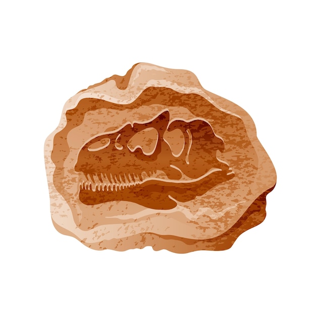 Vettore scheletro fossile di dinosauro. cranio di osso di dinosauro vettoriale. illustrazione dell'allosauro del fumetto. paleontologia art