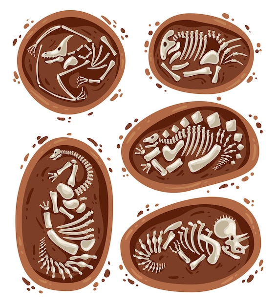 Illustrazione dell'insieme isolato dell'elemento di progettazione grafica dello scheletro delle ossa dei fossili di dinosauro