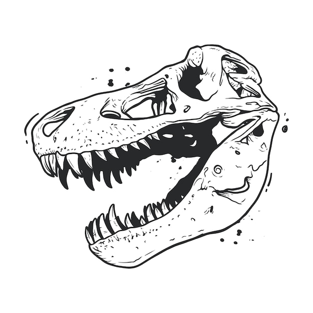 Dinosaur head skeleton hand drawn vector illustration on white background