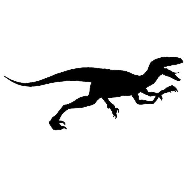силуэт раптора динозавра черный изолированный с белым фоном