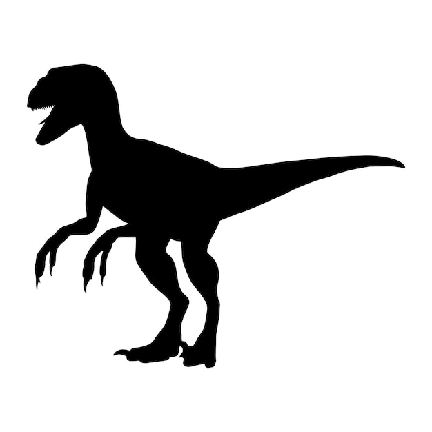 Silhouette di dinosauro raptor nero isolato con sfondo bianco