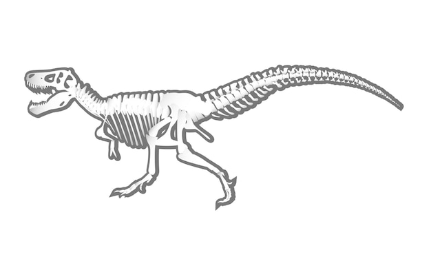 Scheletro di dinosauro isolato su sfondo bianco tyrannosaurus rex grafica animalvector preistorica