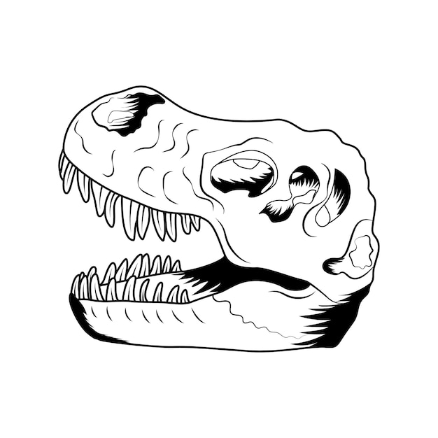 Vector dinosaur skull vector art and illustration