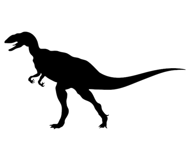 Vector dinosaurs of the jurassic period silhouettes of different dinosaurs