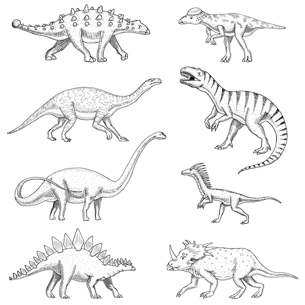 공룡 세트 트리케라톱스 바로사우루스 티라노사우루스 렉스 스테고사우루스 파키케팔로사우루스 디플로도쿠스 데이노니쿠스 벨로시랩터 해골 화석 선사 시대 파충류 동물 손으로 그린 벡터