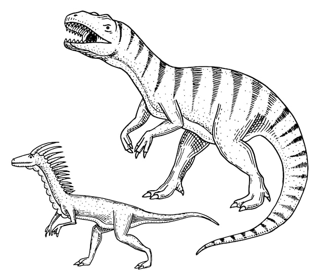 공룡 Tyrannosaurus 렉스, Velociraptor, Ceratosaurus, Afrovenator, Megalosaurus, Tarbosaurus, Struthiomimus 골격, 화석. 선사 시대 파충류, 동물 새겨진 손으로 그린