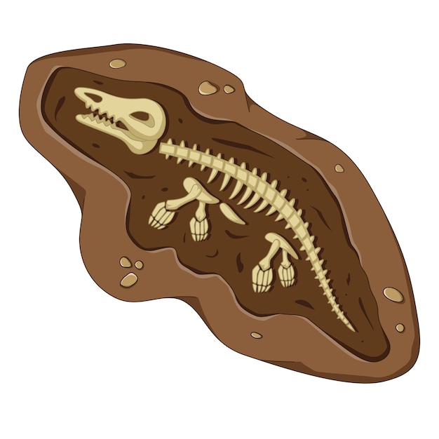 Vector dinosaurus fossiel skelet botten opgravingen van archeologie geïsoleerd