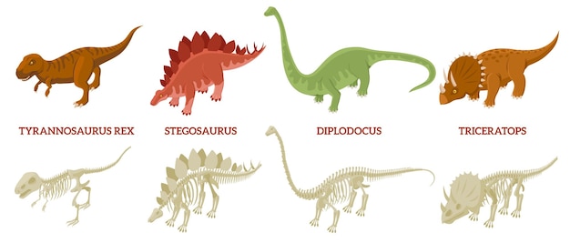 Dinosaurussen skelet composities set