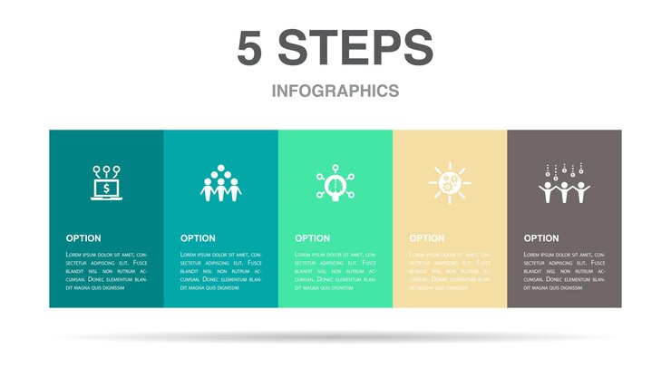 Vector diploma brain online education compasses book icons infographic design layout template creative presentation concept with 5 steps