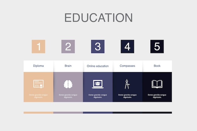 Diploma brain online education compasses book icons infographic design layout template creative presentation concept with 5 steps