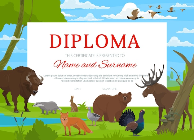 Diploma certificate school education award