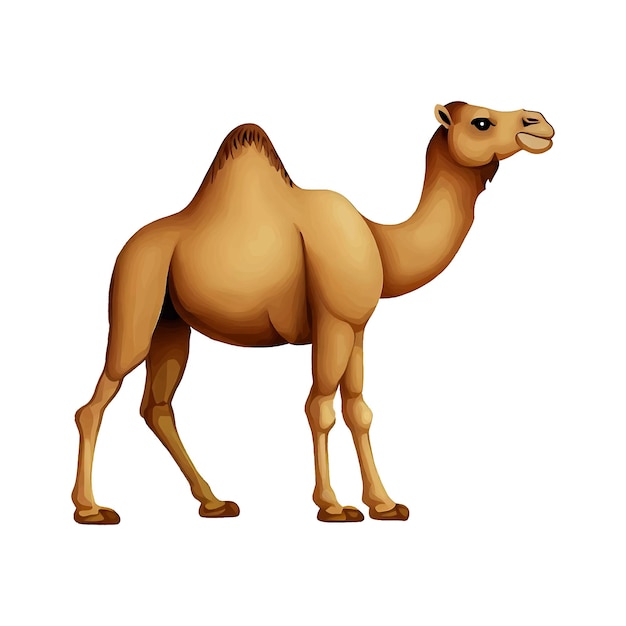 Discover the beauty of the desert with our exquisite camel vector Perfect for travel blogs adventu