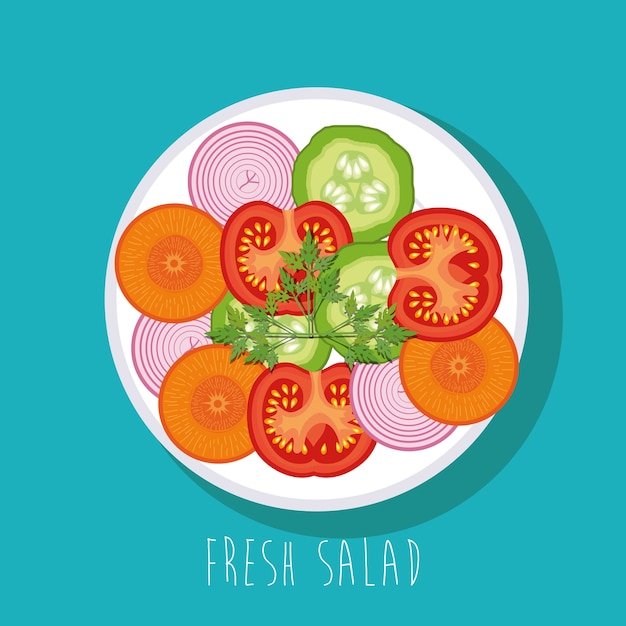 Vector dish with fresh salad healthy food