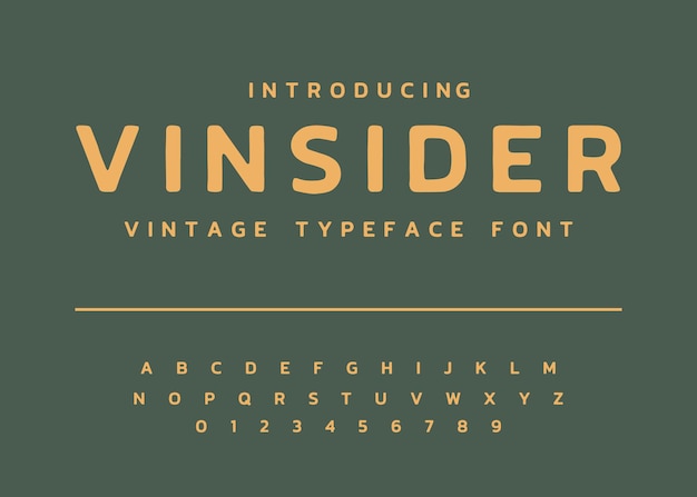 Visualizza alfabeto carattere tipografico vintage vettore di carattere