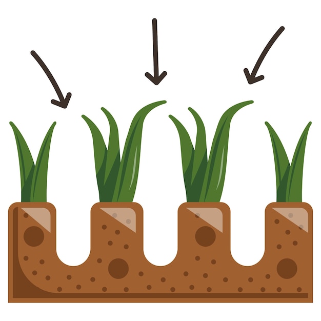 Vector distance between plants in shrub concept row spacing for healthy growth vector icon design lawn