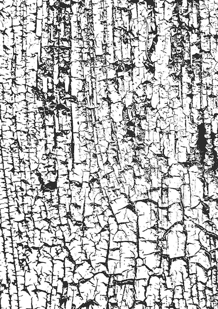 ベクトル 古い乾燥した木材のテクスチャー eps8 ベクトル