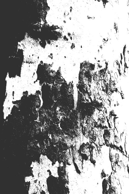 Distress old dry wooden texture