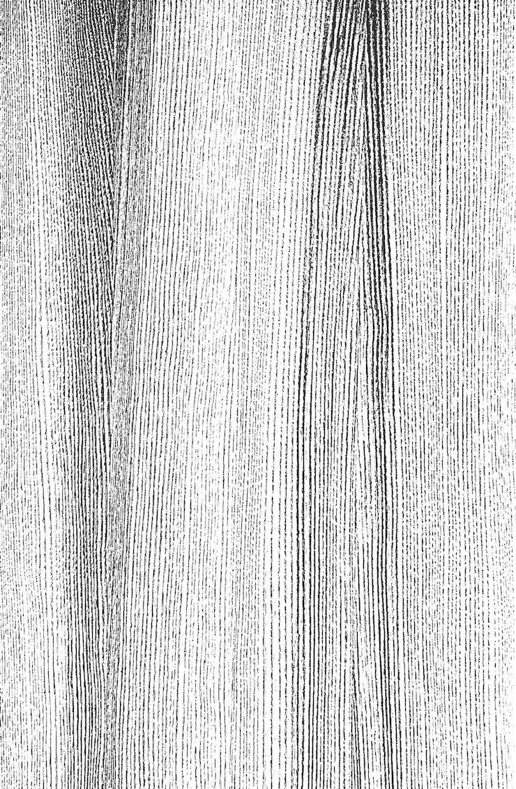 Vector distress old dry wooden texture