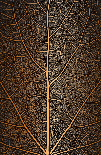 Vettore struttura dell'opuscolo delle foglie dell'albero di angoscia su sfondo dorato vettore eps8 di sfondo grunge bianco e nero