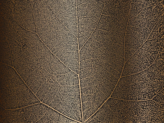 Vettore struttura dell'opuscolo delle foglie dell'albero di angoscia su sfondo dorato sfondo grunge bianco e nero