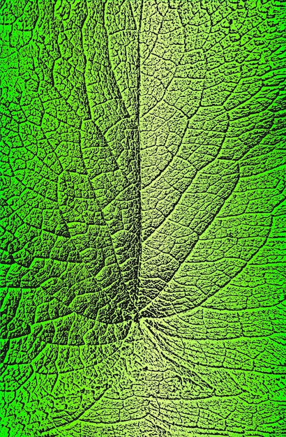 Distress tree leaves leaflet texture on golden green background Black and white grunge background EPS8 vector illustration