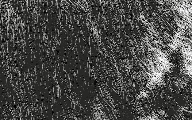 distressed overlay texture of natural fur