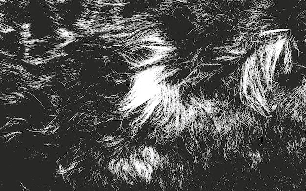 distressed overlay texture of natural fur