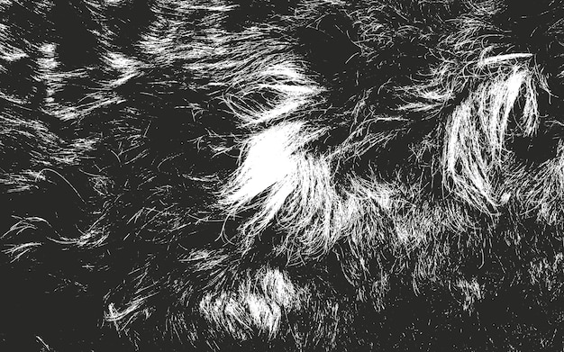 Vector distressed overlay texture of natural fur