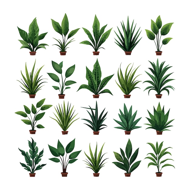 花や他の植物の多様なコレクション