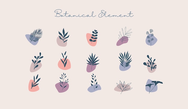 Vector diverse elementen van botanische vormen