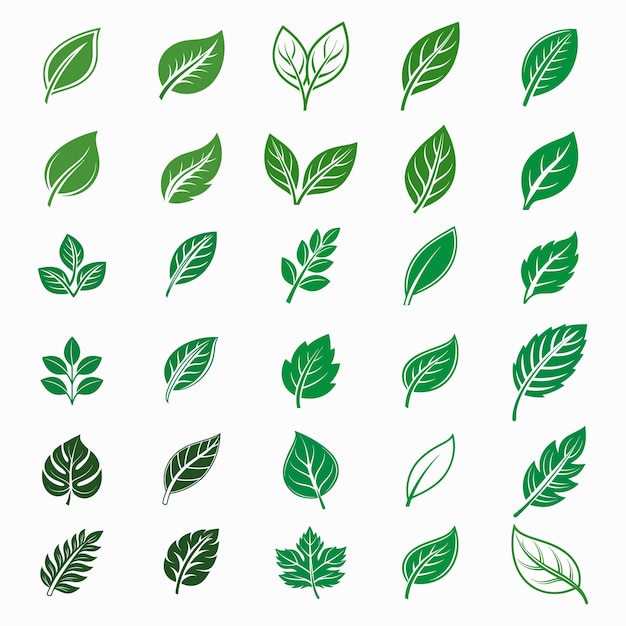 Diverse icoontjes van groene bladeren voor het ontwerp