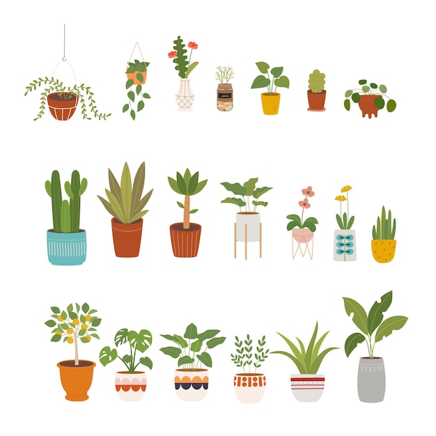 Diverse interieurplanten prachtig gedessineerde plantenpotten