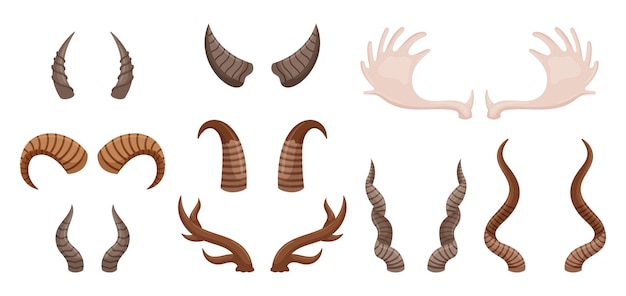 Разнообразный набор рогов животных различных форм и размеров, идеально подходящих для образовательных целей художественные проекты