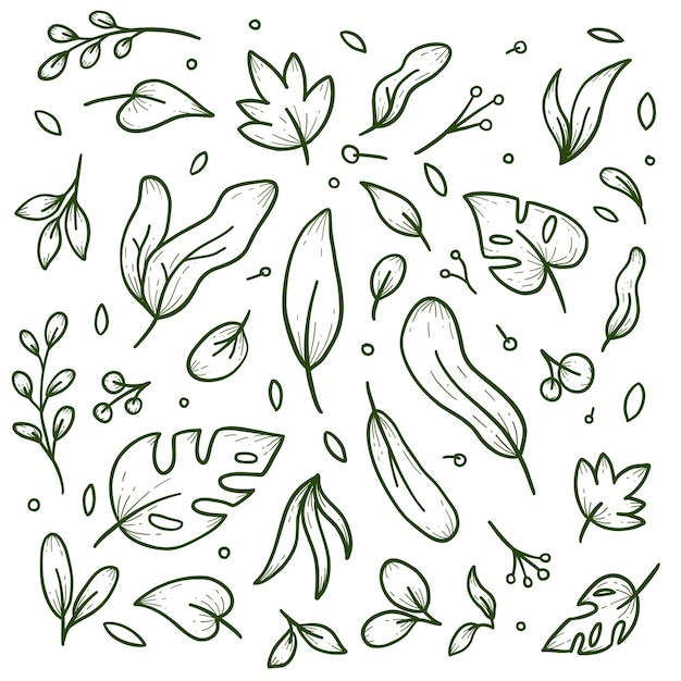 Diverse set van natuur blad generieke vegetatie achtergrond decoratie doodle handgetekende