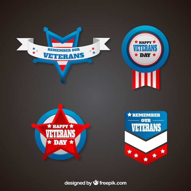 Vector diverse veteranen dag badges